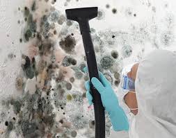 Environmental Consulting for Mold Prevention in Coburg, OR